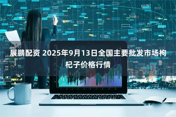 展鵬配资 2025年9月13日全国主要批发市场枸杞子价格行情